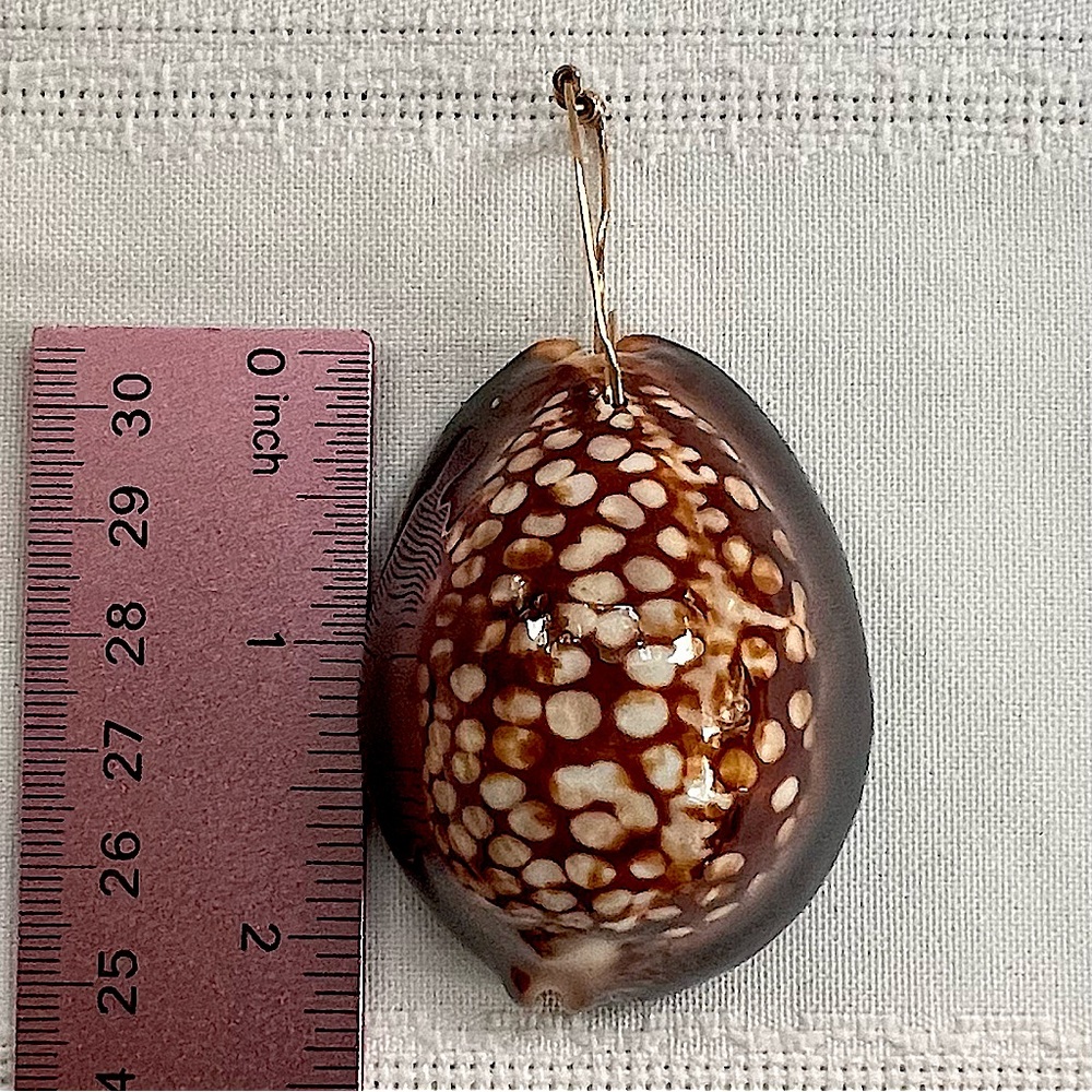 Humpback Cowry Cowrie Shell Gold Wire Bail EUC - Picture 11 of 13